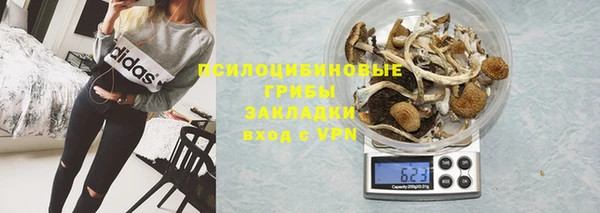СК Куйбышев