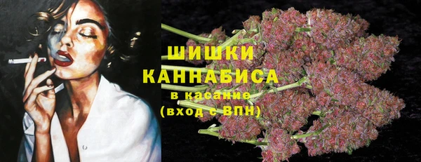 СК Куйбышев