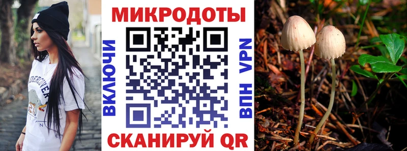 Купить где Абаза Псилоцибиновые грибы ЛСД